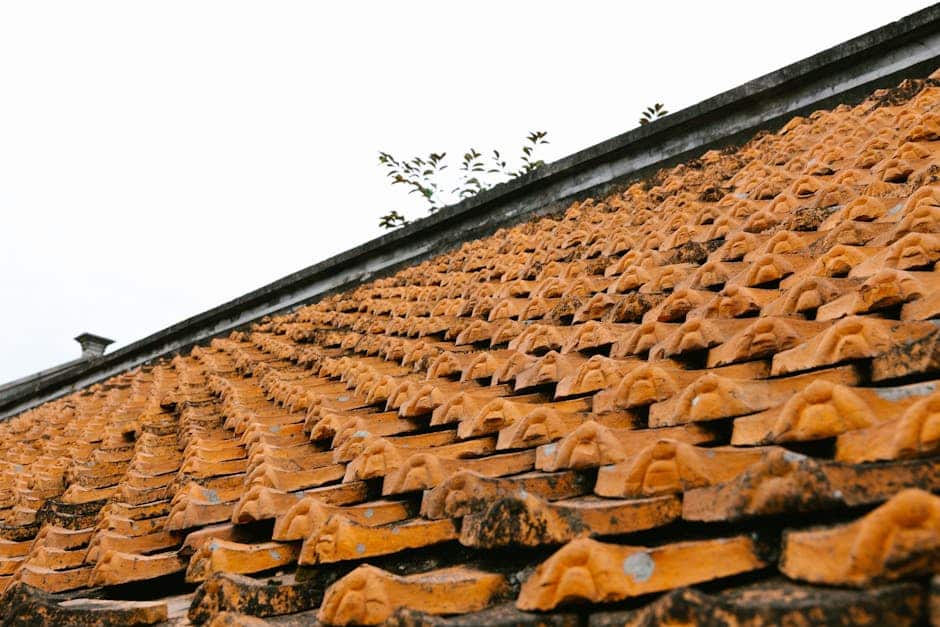 Toiture en tuiles terre cuite à Pont-Audemer avec mousse, tuiles vieillissantes et faîtage à évaluer